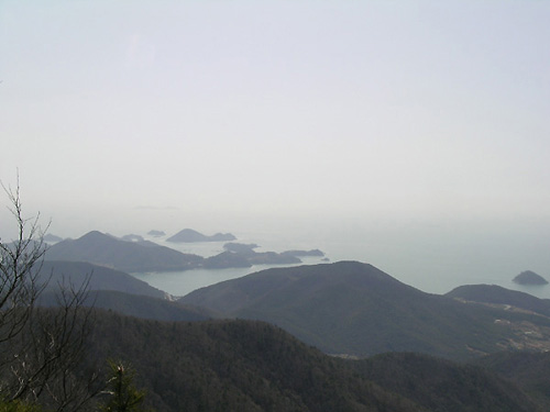 다섯으로 보여 여섯으로 보여 